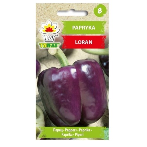 Papryka fioletowa LORAN nasiona TORAF 0,3g