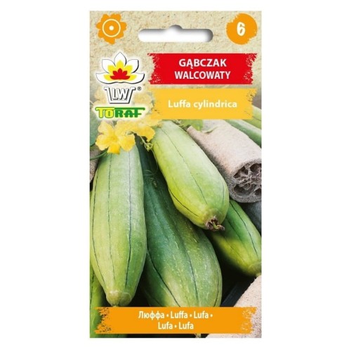 GĄBCZAK WALCOWATY nasiona warzyw Toraf 0,2g