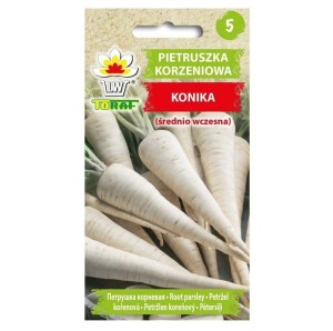 Pietruszka korzeniowa KONIKA, odmiana średnio-wczesna - nasiona Toraf 5g