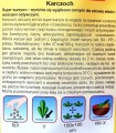 Karczoch zwyczajny VERT DE PROVENCE nasiona 1g