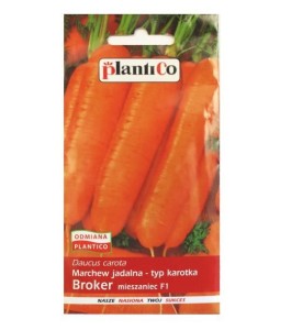 Marchew krótka walcowata BROKER F1 nasiona 5g