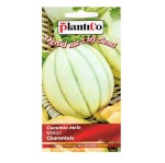 Melon CHARENTAIS - duży smaczny na sałatki owocowe - nasiona Plantico 1g