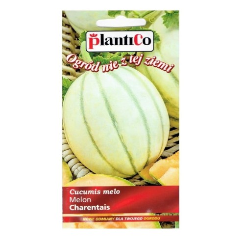Melon duży CHARENTAIS nasiona Plantico 1g