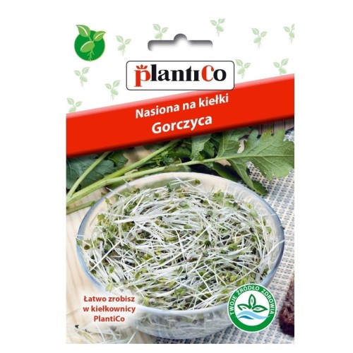 GORCZYCA nasiona na smaczne kiełki 20g