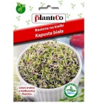 KAPUSTA BIAŁA nasiona na zdrowe kiełki 10g