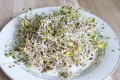 MIESZANKA ŁAGODNA nasiona na kiełki 25g
