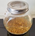 MIESZANKA ŁAGODNA nasiona na kiełki 25g