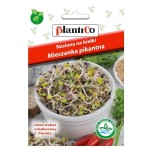 MIESZANKA PIKANTNA nasiona na kiełki 30g