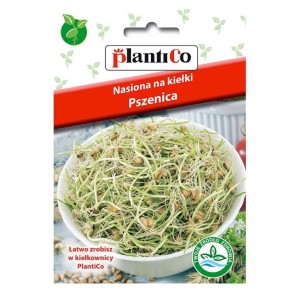 Pszenica - nasiona na kiełki marki PlantiCo - 50g