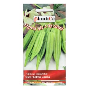 OKRA KETMIA jadalna hibiskus piżmian nasiona 3g