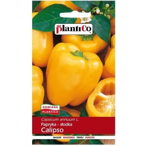 Papryka CALIPSO - słodka żółta typu blok gruntowa - nasiona PlantiCo 0,5g
