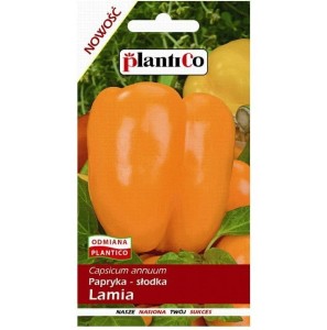 Papryka LAMIA - słodka pomarańczowa typu blok - nasiona PlantiCo 0,5g