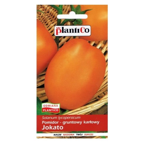 Pomidor pomarańczowy owalny JOKATO nasiona 0,5g