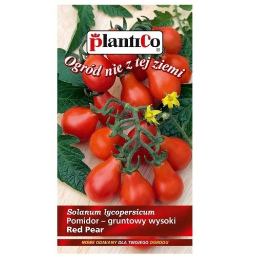 Pomidor koktajlowy gruszkowy RED PEAR nasiona 0,2g